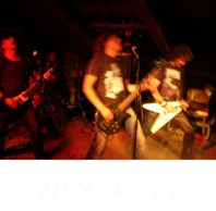 Effes 29/7-05